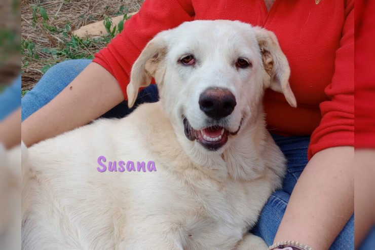 Susana