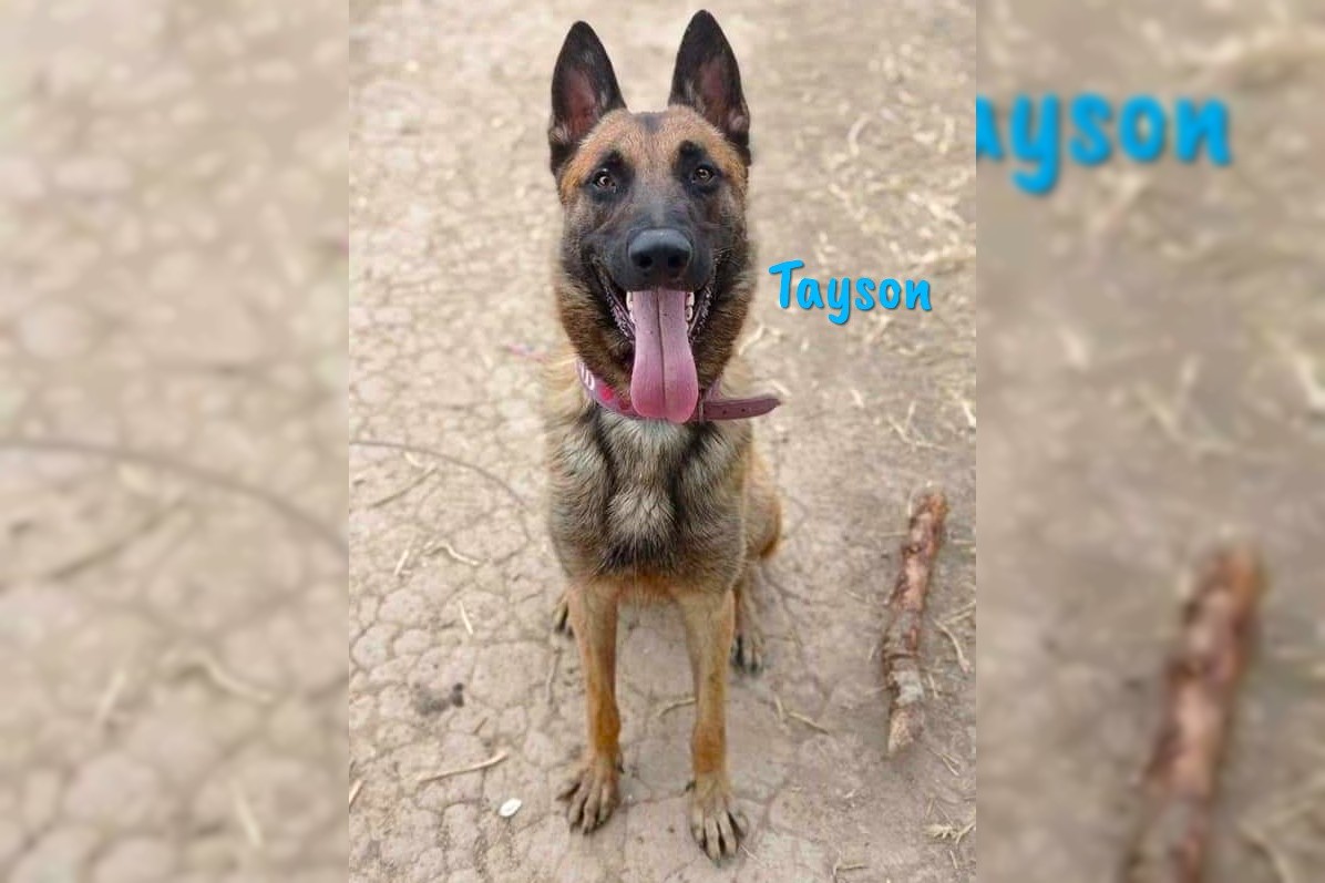 Tayson