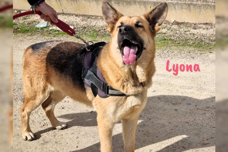 Lyona