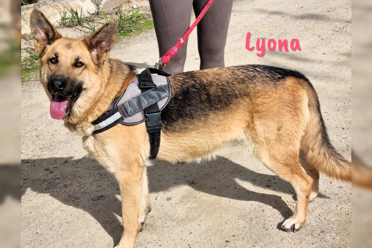 Lyona