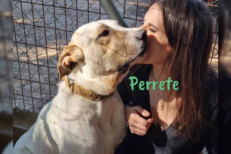 Perrete