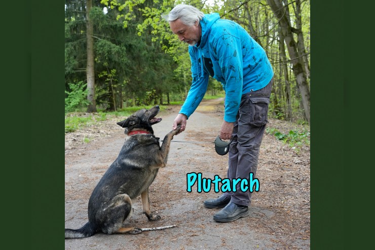 Plutarch