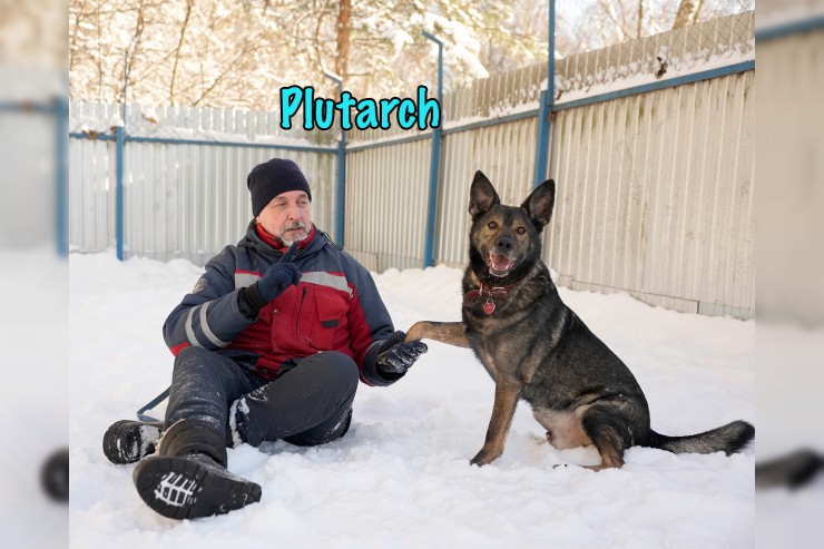 Plutarch