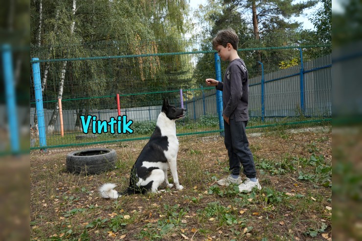 Vintik