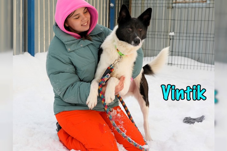 Vintik