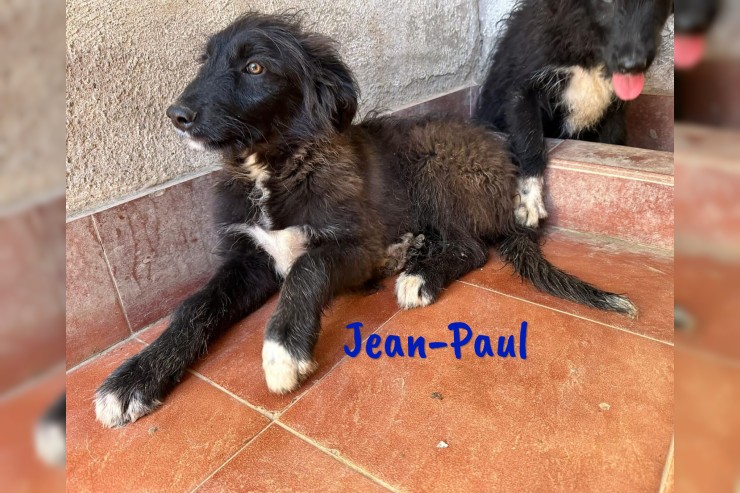 Jean-Paul