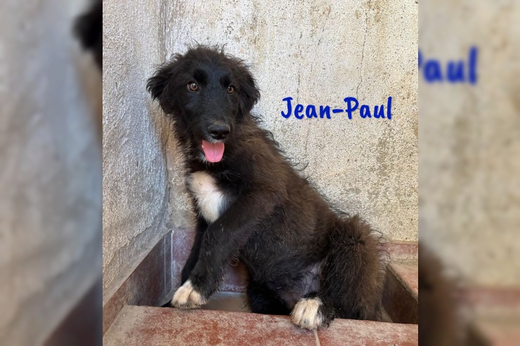 Jean-Paul