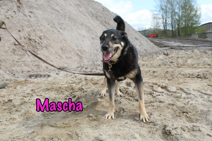 Mascha