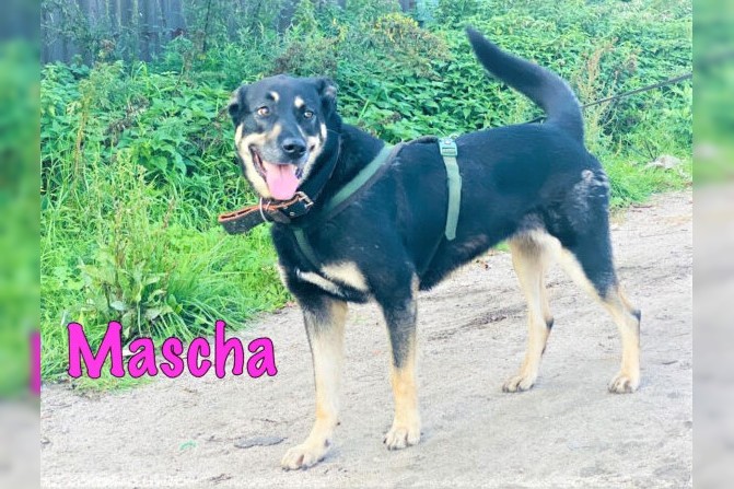 Mascha