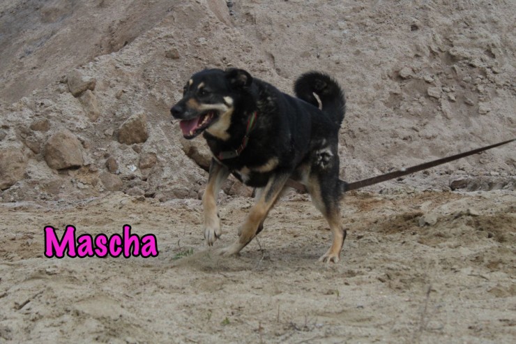 Mascha