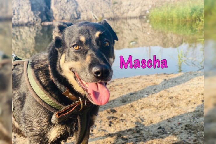 Mascha