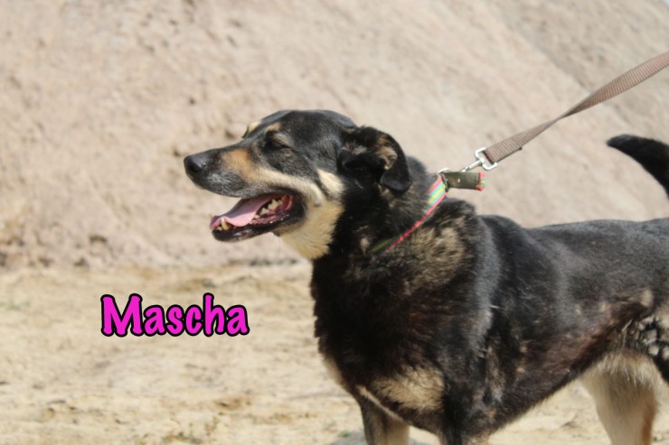 Mascha