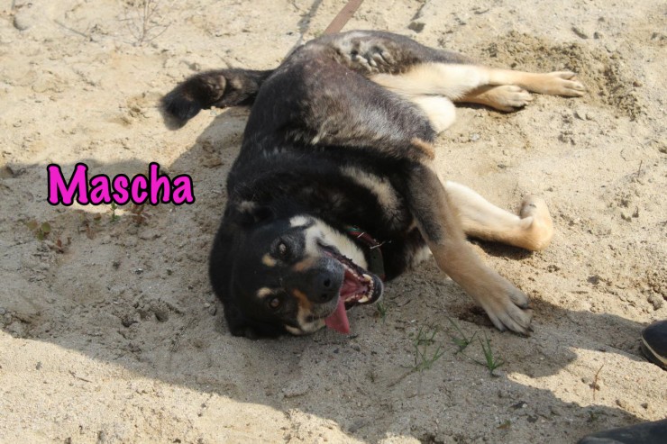 Mascha