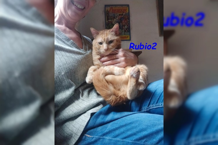 Rubio2