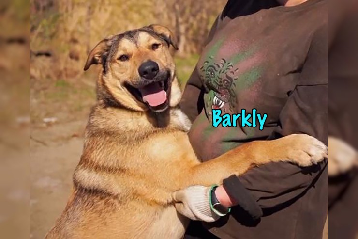 Barkly