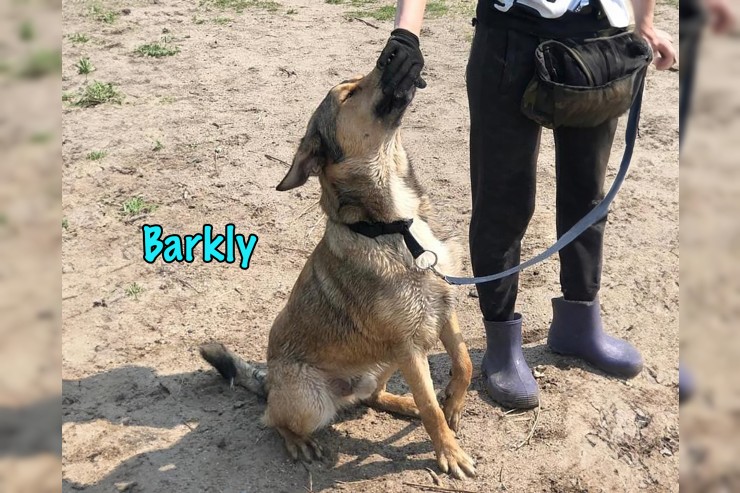 Barkly