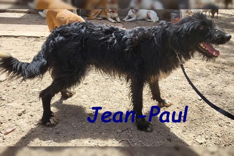 Jean-Paul