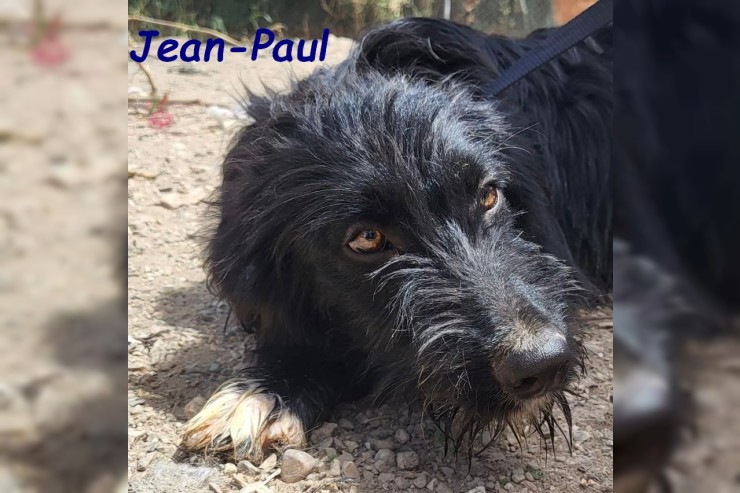 Jean-Paul