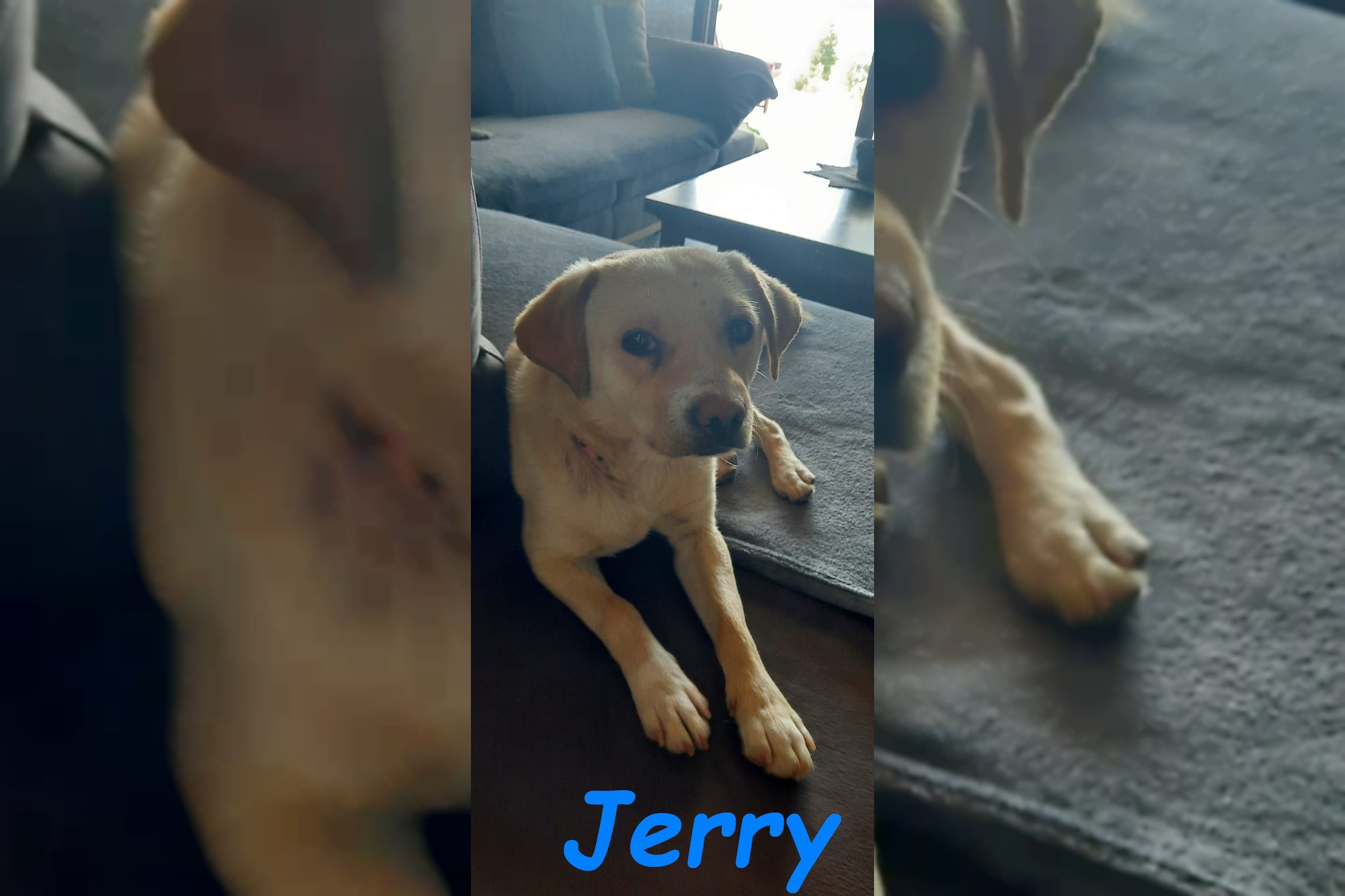 Jerry