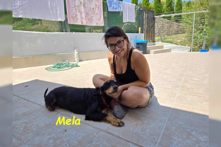 Mela