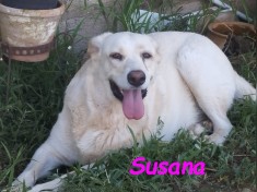 Susana