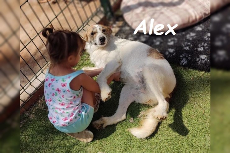 Alex