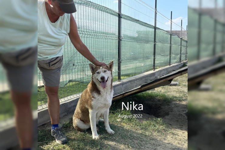 Nika