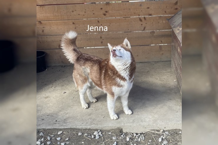 Jenna