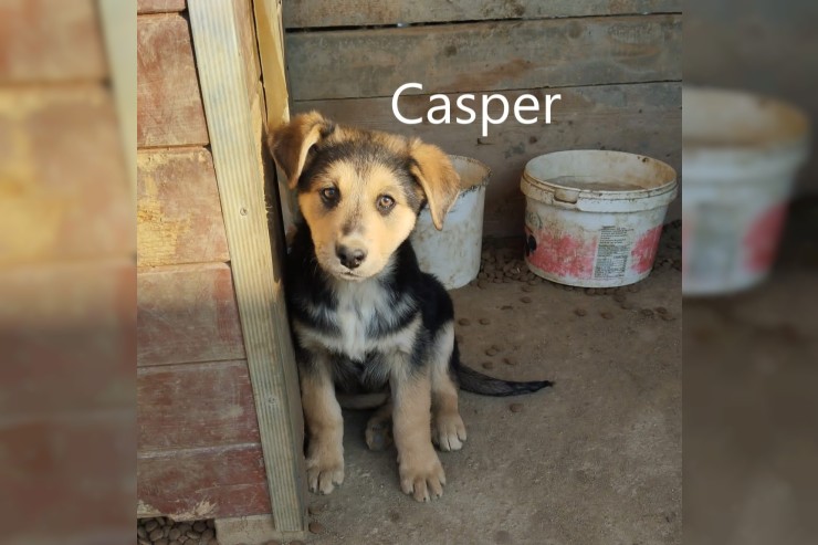 Casper