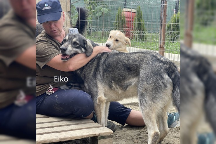 Eiko