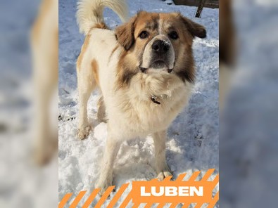 Luben