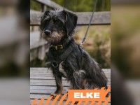 Elke