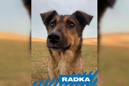 Radka